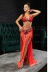 Professional bellydance costume (Classic 345 A_1)